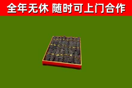 峄城区回收海参